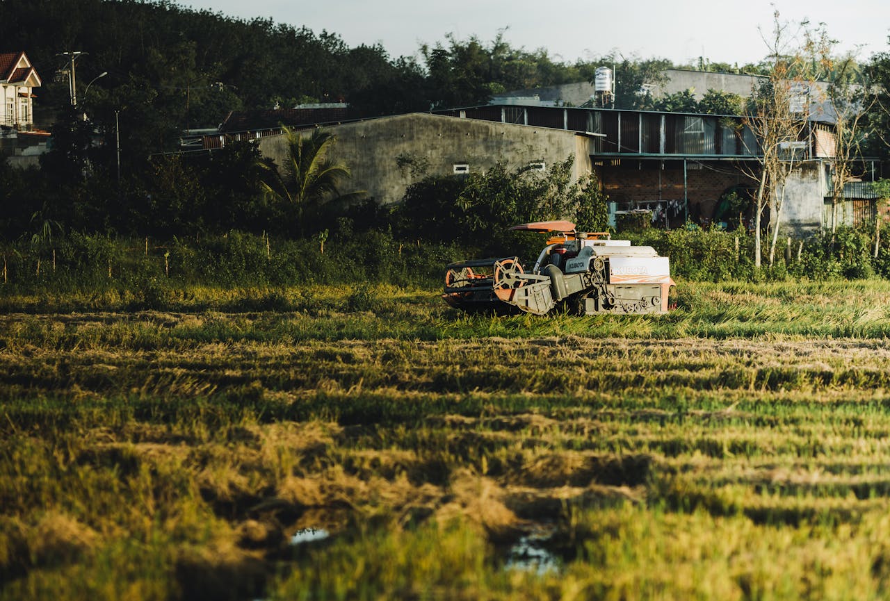 Combine harvester in a rice field during harvest season in Kon Tum, Vietnam.